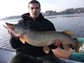 capturi - 7 kg, eliberate fara discutii